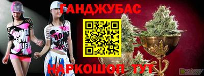твердый Новодвинск