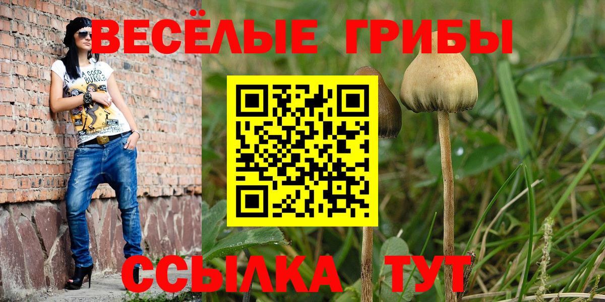 Сухой Лог  Галлюциногенные грибы Psilocybine cubensis  Вход с VPN 
